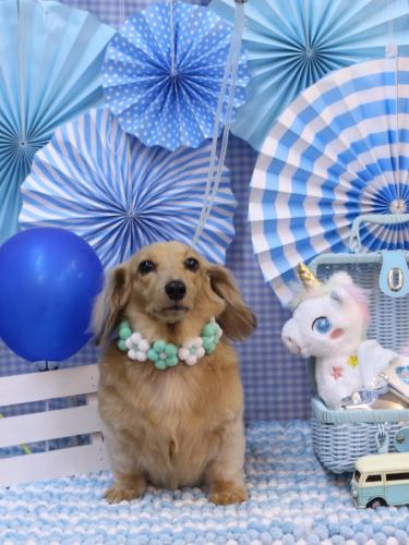 20231111モカちゃん